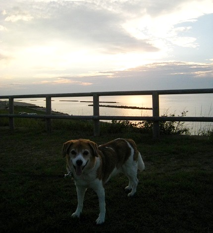 c0084117_2015439.jpg