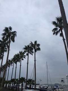 b0363818_92143100.jpg