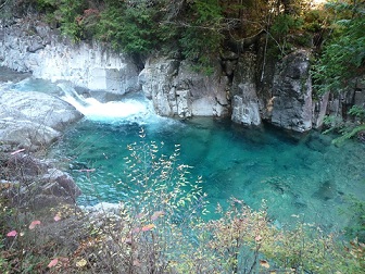 c0051529_1563850.jpg