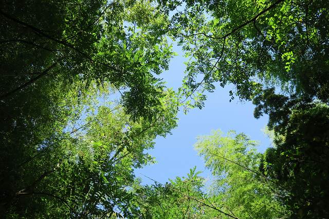 a0242438_2013691.jpg