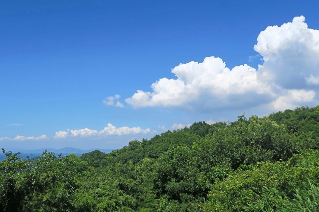 a0242438_20154116.jpg