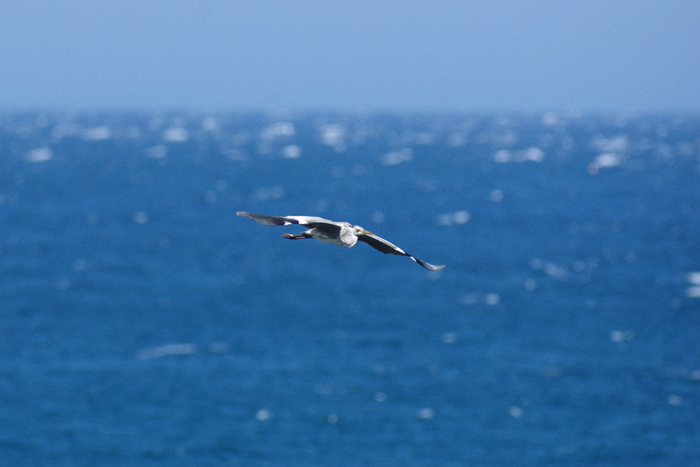 b0247838_21281326.jpg