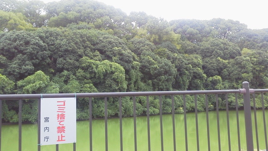 e0036151_23373181.jpg