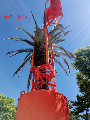 b0147856_10182663.jpg