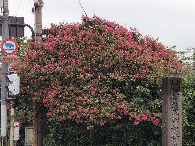 b0044663_13204812.jpg