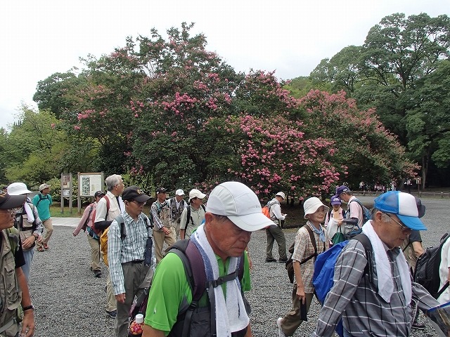 b0044663_13222841.jpg