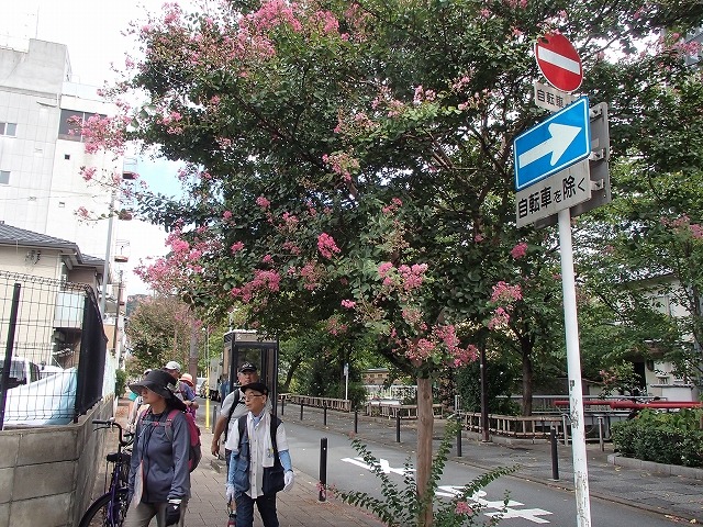 b0044663_1325239.jpg