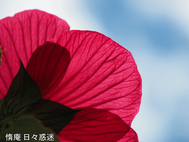e0346064_1848032.gif