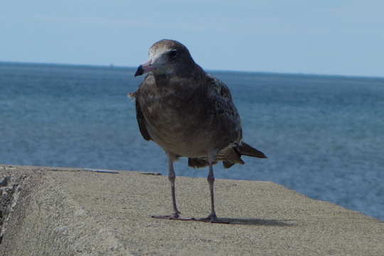 c0248067_8273285.jpg