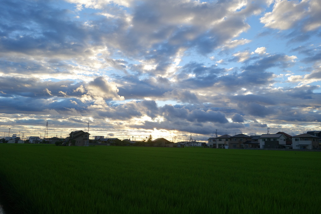 c0216472_847271.jpg