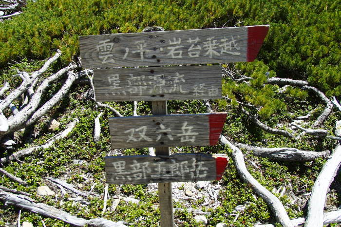 e0307372_22414897.jpg