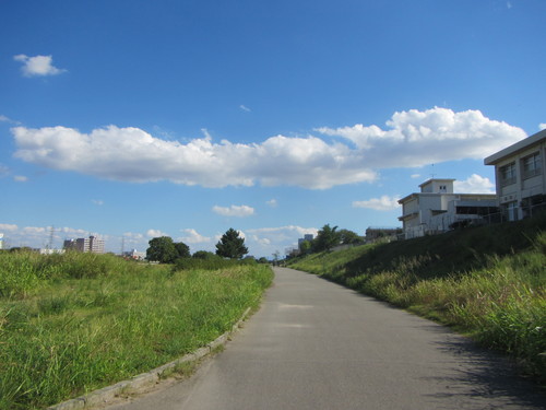 a0251786_22225745.jpg