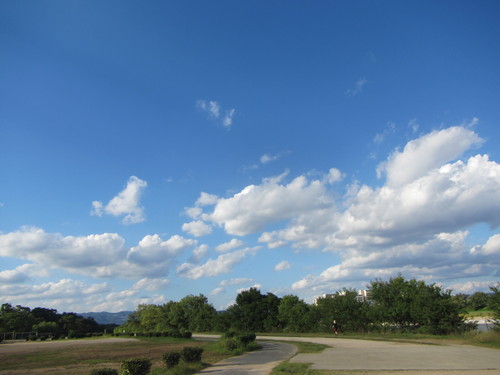 a0251786_22264479.jpg