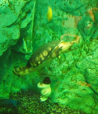 a0131787_1652383.jpg