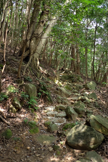 c0013687_6424174.jpg