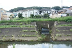 d0183387_12071755.jpg