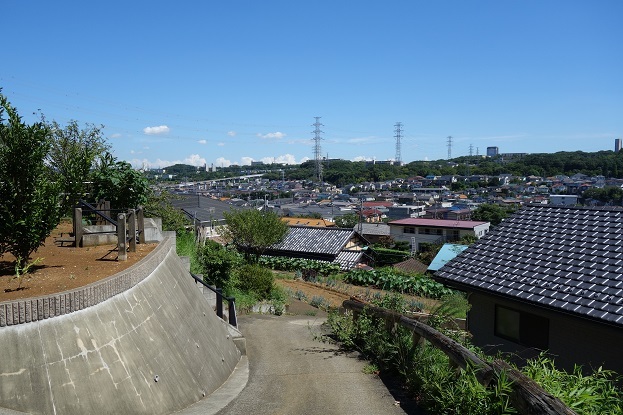 d0183387_17511579.jpg