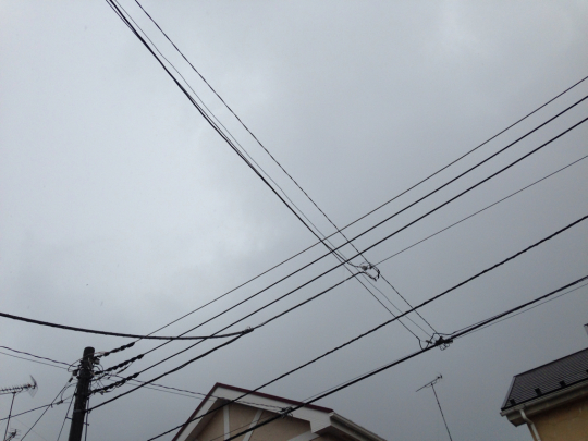 d0135188_13290570.jpg