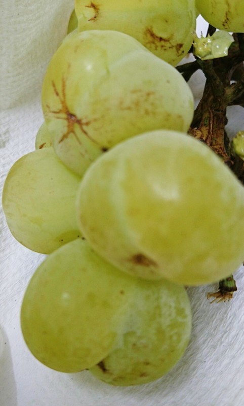 f0371490_22434099.jpg