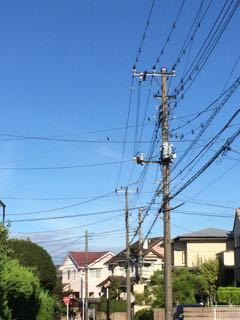 f0130894_22545940.jpg
