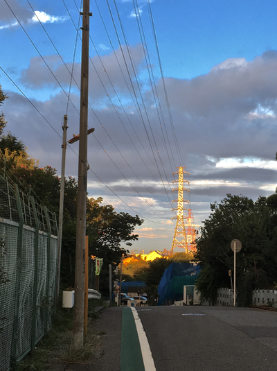 b0099903_19342440.jpg