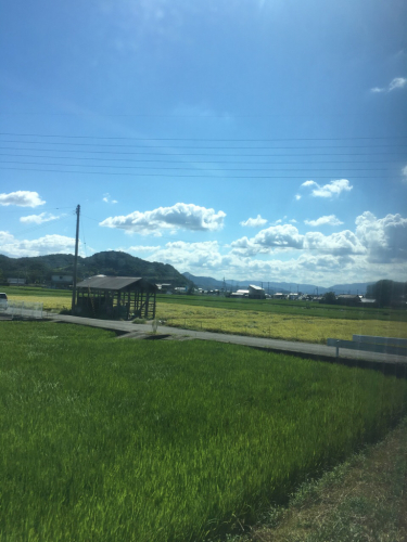 c0162404_00025710.jpg