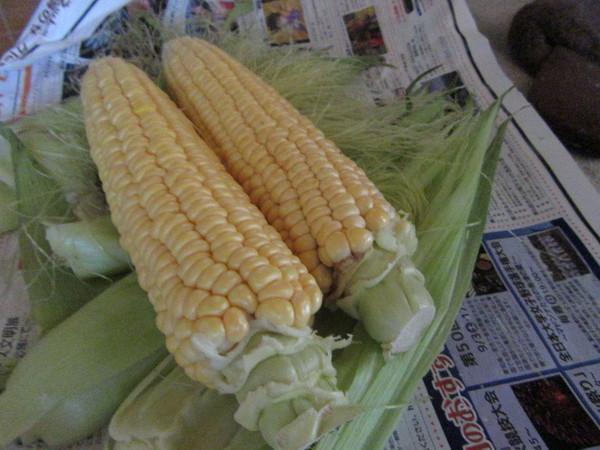 f0231709_20555761.jpg