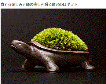f0231709_2314494.gif
