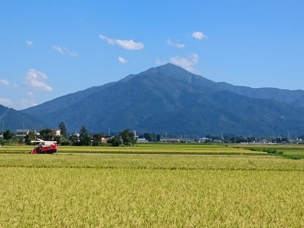 d0103314_17215351.jpg