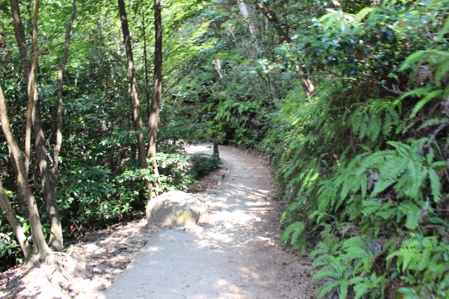 c0317915_15304449.jpg