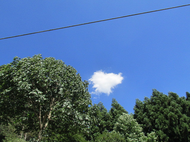 f0341616_16530909.jpg