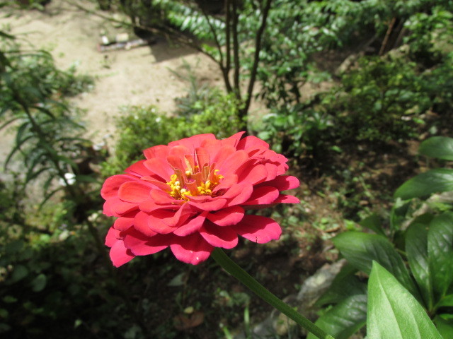 f0341616_16542334.jpg