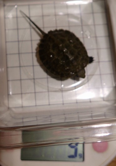 c0369423_22291467.jpg