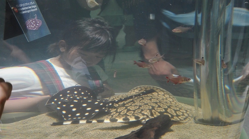 e0199937_2372758.jpg