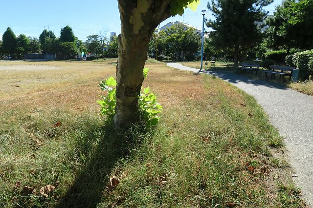 a0242438_2012208.jpg