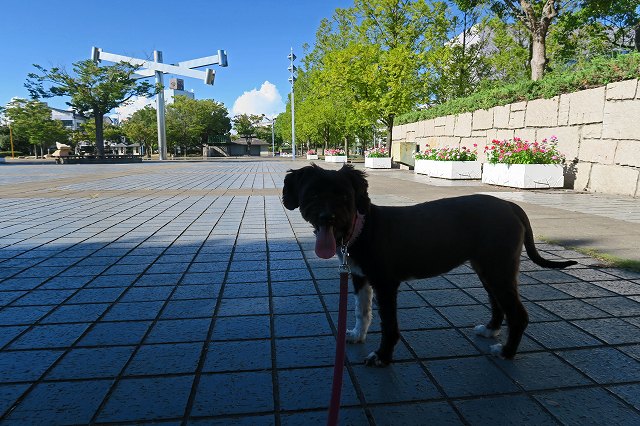 a0242438_20124470.jpg