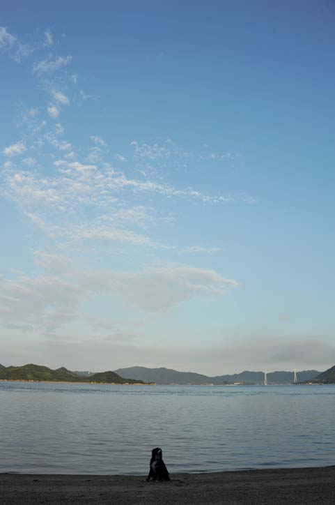 b0075541_1435631.jpg
