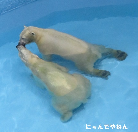 f0002743_1285422.jpg