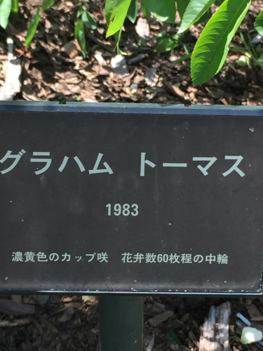 d0347251_14134648.jpg