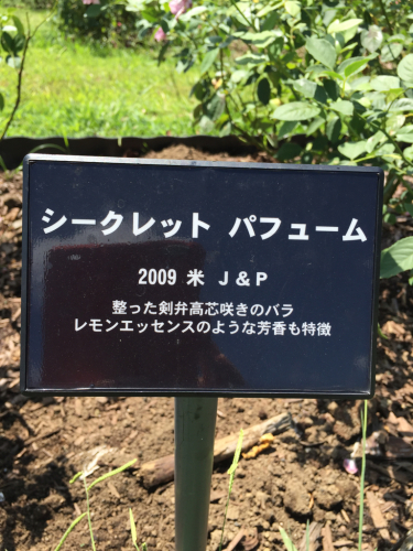 d0347251_14134954.jpg