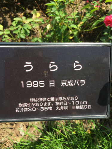 d0347251_14135039.jpg
