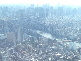 d0031853_6191368.jpg