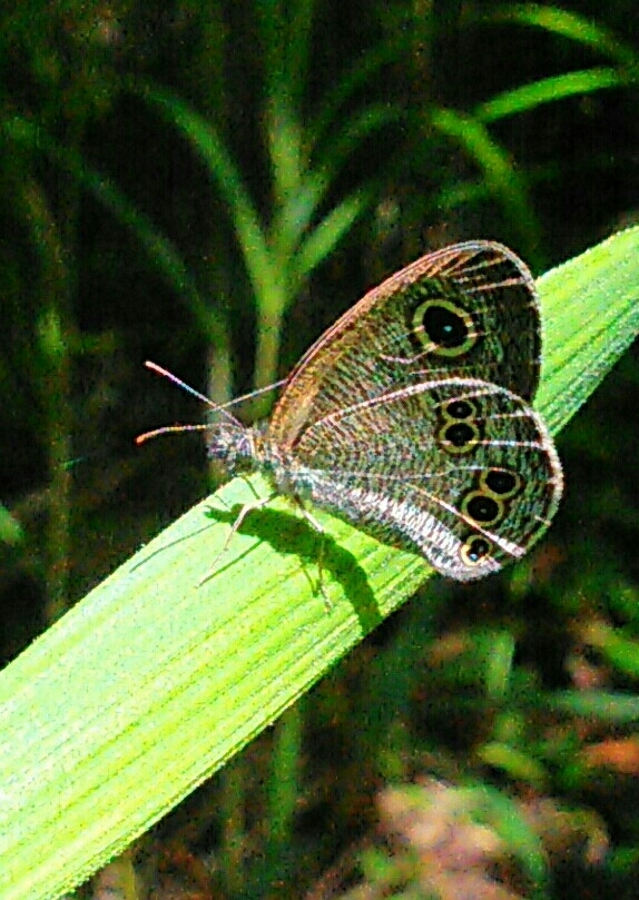 a0018655_14382531.jpg
