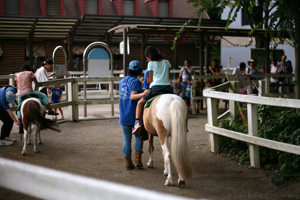 d0100156_23131440.jpg