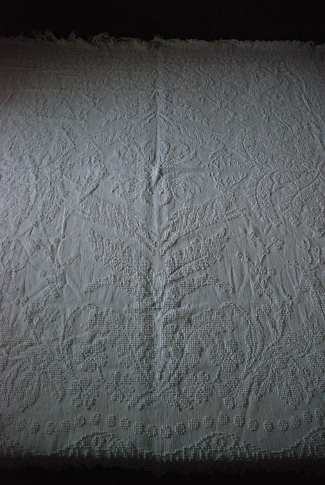 f0360256_16323587.jpg