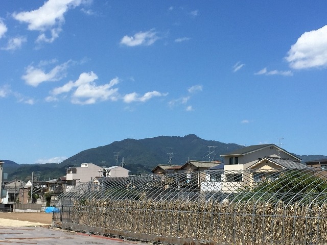 b0044663_18554460.jpg