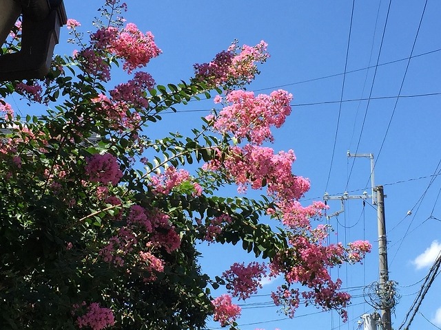 b0044663_18594328.jpg