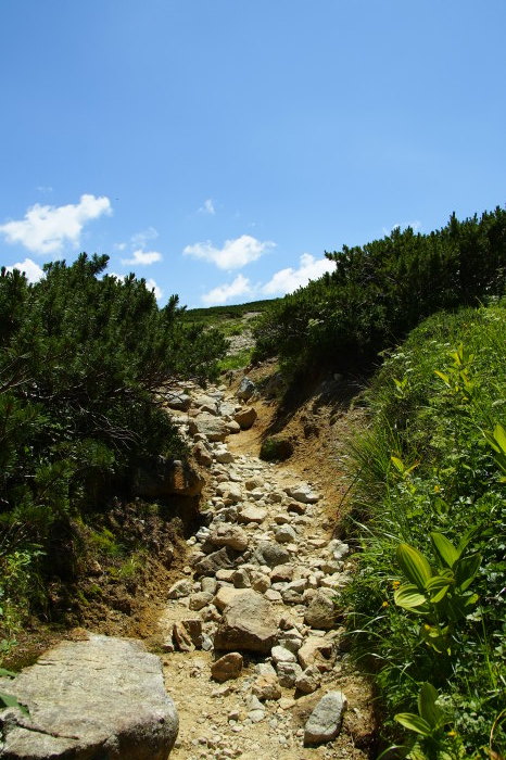 e0307372_21091800.jpg