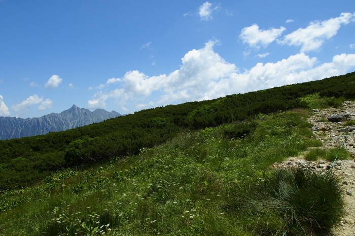 e0307372_21111241.jpg