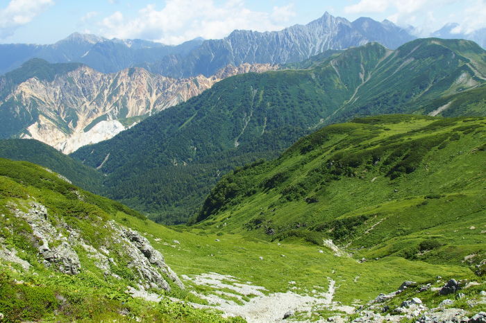 e0307372_21322805.jpg